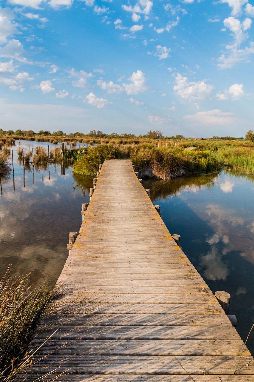 web, nature, camargue-2591619.jpg